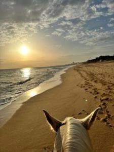 Apartment Albufeira Algarve Dış mekan fotoğraf